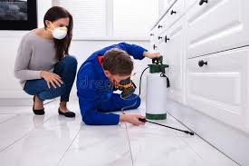 Emergency Pest Control in Meridian, PA